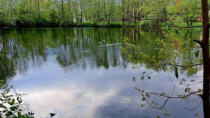Park Łabędzi