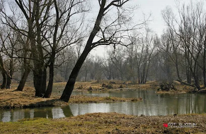 Rezerwat Kępa Wykowska